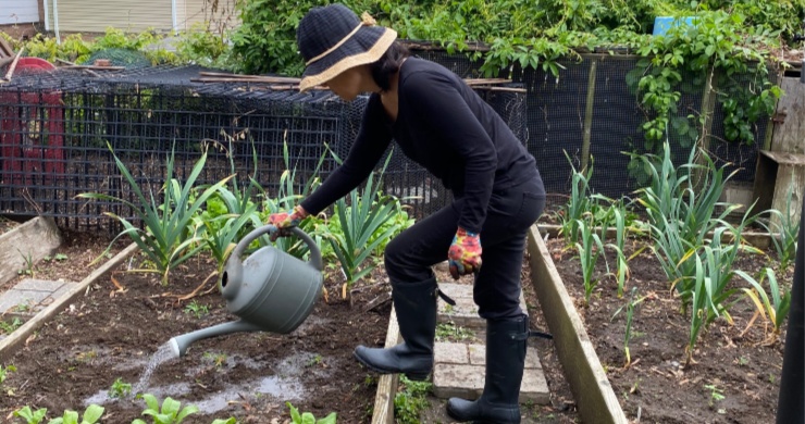 How to Kickstart Your Backyard Garden, According to an Expert