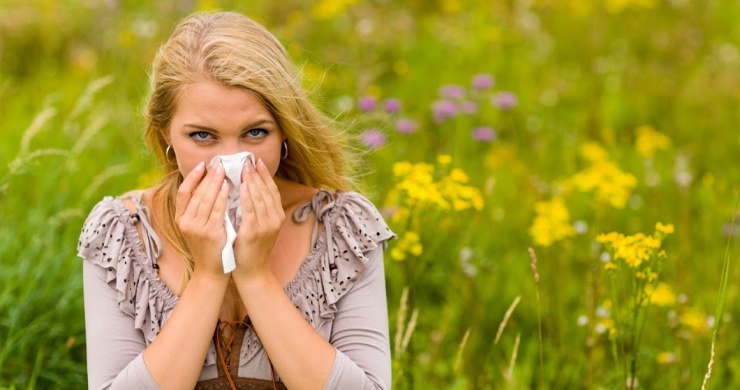 Hay fever treatment: Study reveals if local honey can help with your symptoms